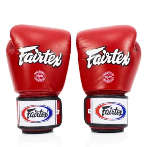Fairtex Muay Thai gloves