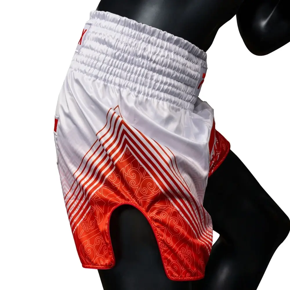 fairtex shorts